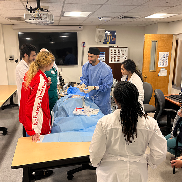 Procedures Curriculum